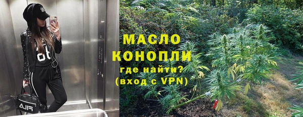 гашик Алексеевка